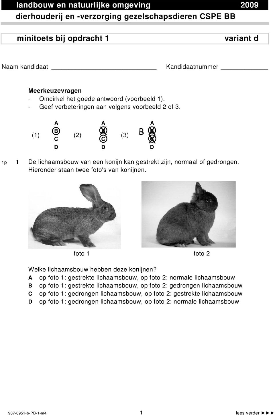 Hieronder staan twee foto's van konijnen. foto 1 foto 2 Welke lichaamsbouw hebben deze konijnen?