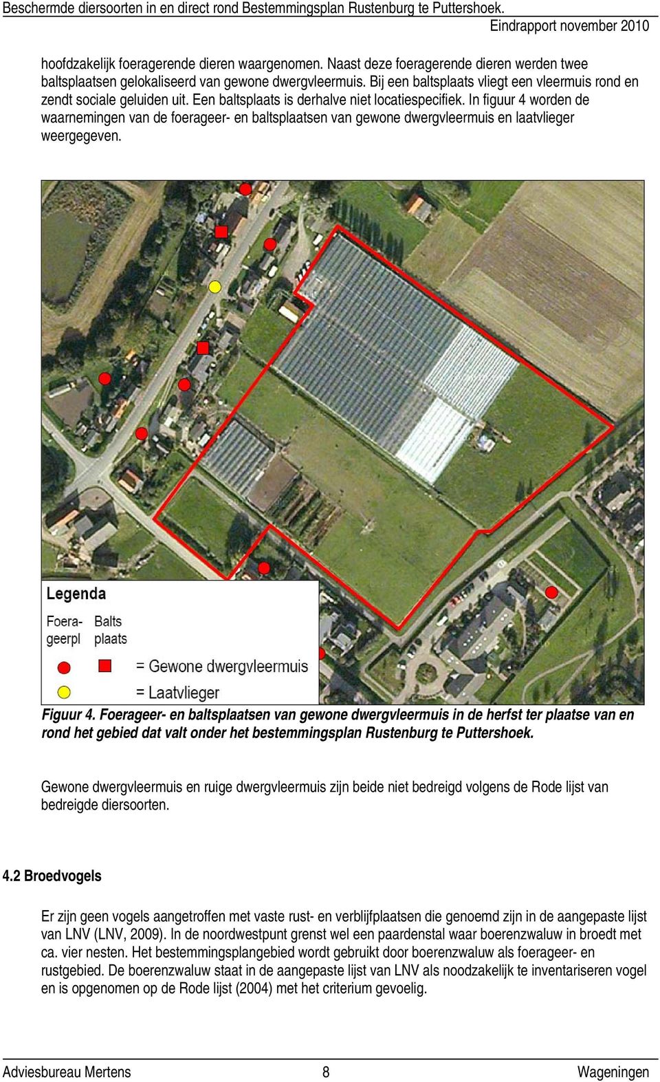 In figuur 4 worden de waarnemingen van de foerageer- en baltsplaatsen van gewone dwergvleermuis en laatvlieger weergegeven. Figuur 4.