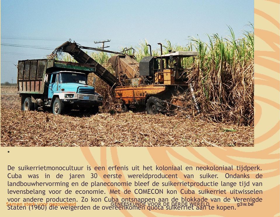 Ondanks de landbouwhervorming en de planeconomie bleef de suikerrietproductie lange tijd van levensbelang voor de