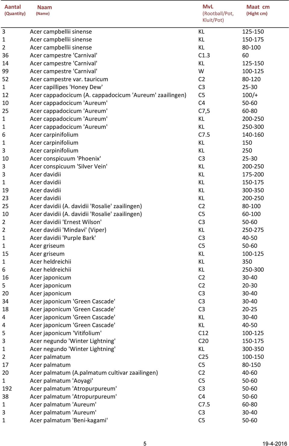 cappadocicum 'Aureum' zaailingen) C5 100/+ 10 Acer cappadocicum 'Aureum' C4 50-60 25 Acer cappadocicum 'Aureum' C7,5 60-80 1 Acer cappadocicum 'Aureum' KL 200-250 1 Acer cappadocicum 'Aureum' KL