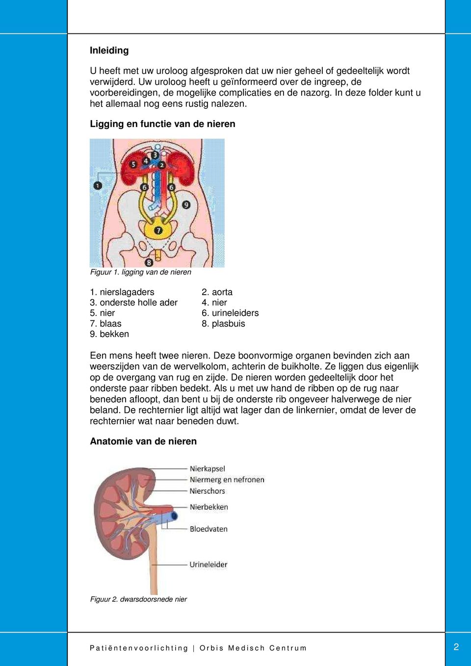 Ligging en functie van de nieren Figuur 1. ligging van de nieren 1. nierslagaders 2. aorta 3. onderste holle ader 4. nier 5. nier 6. urineleiders 7. blaas 8. plasbuis 9.