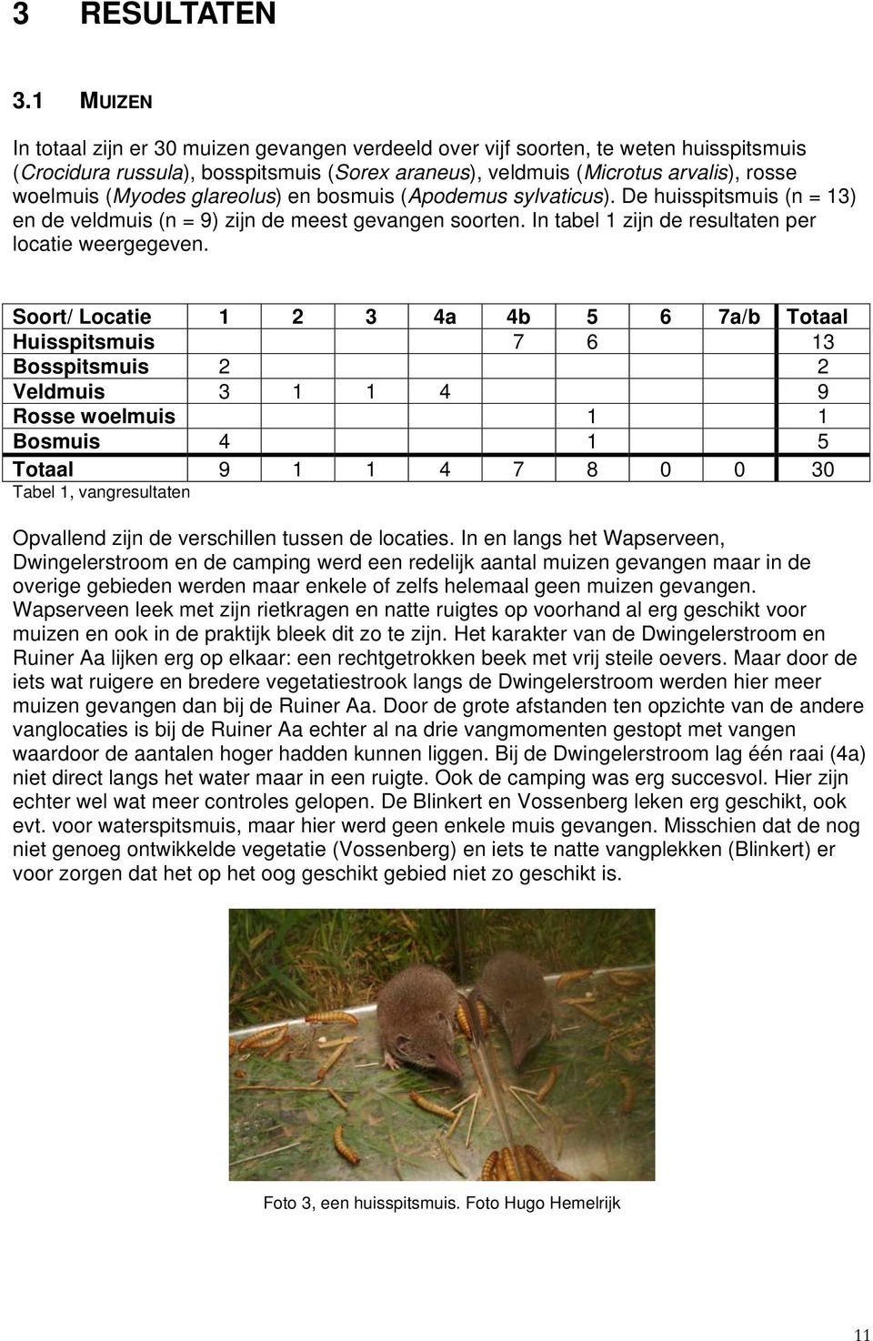 glareolus) en bosmuis (Apodemus sylvaticus). De huisspitsmuis (n = 13) en de veldmuis (n = 9) zijn de meest gevangen soorten. In tabel 1 zijn de resultaten per locatie weergegeven.