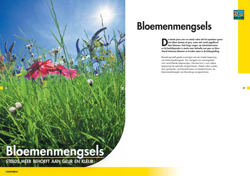 Barenbrug heeft goede ervaringen met een brede toepassing van bloemzaadmengsels. Vier mengsels zijn samengesteld voor verschillende toepassingen.
