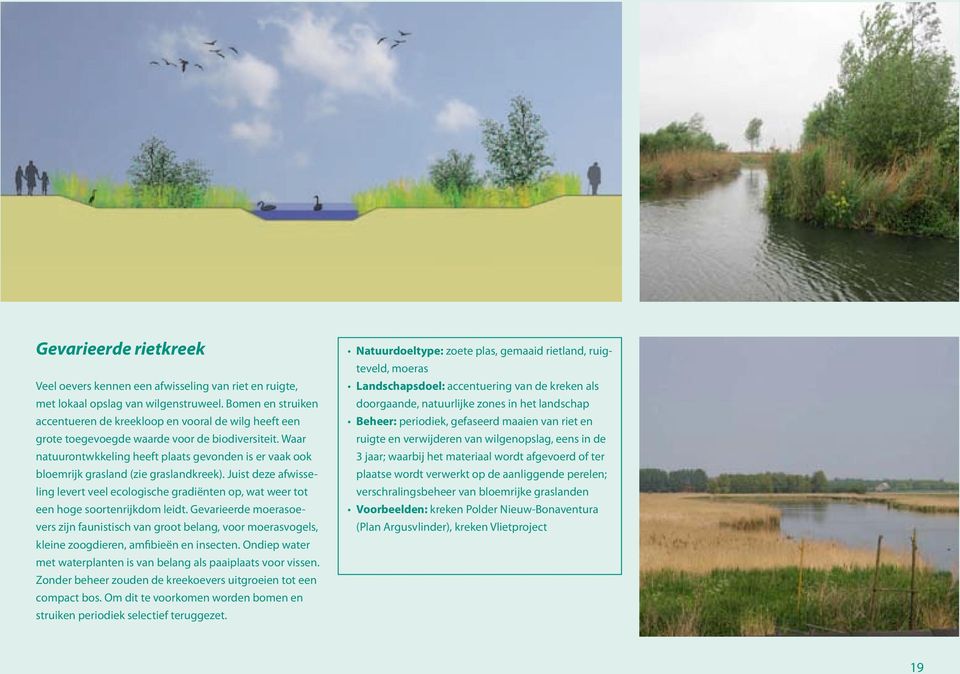 Waar natuurontwkkeling heeft plaats gevonden is er vaak ook bloemrijk grasland (zie graslandkreek).