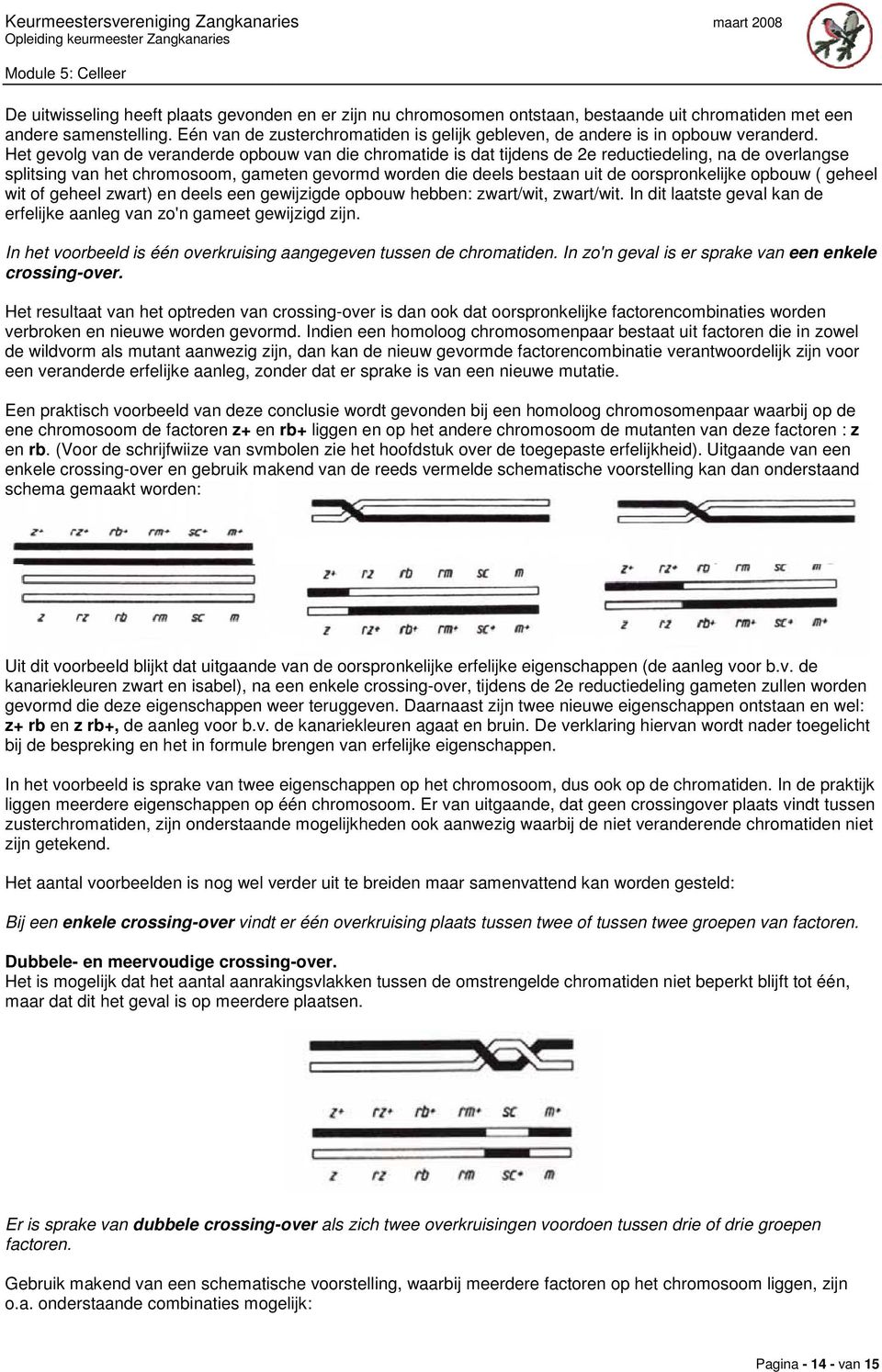 Het gevolg van de veranderde opbouw van die chromatide is dat tijdens de 2e reductiedeling, na de overlangse splitsing van het chromosoom, gameten gevormd worden die deels bestaan uit de