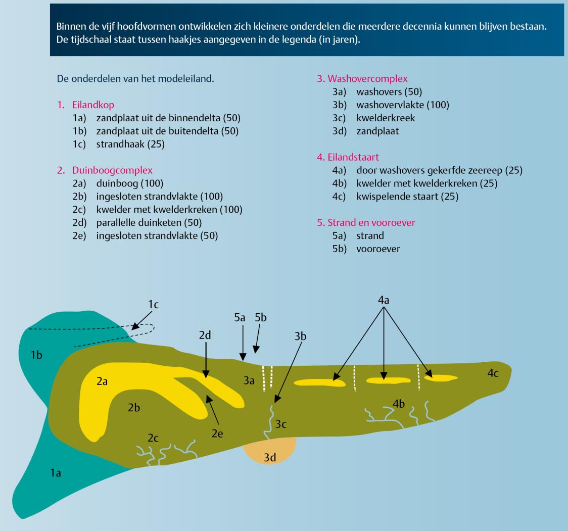 53 Figuur 4.21: Opbouw modeleiland (Löffler et al., 2008) Figuur 4.22: Natuurlijke positionering van habitattypen op modeleiland.