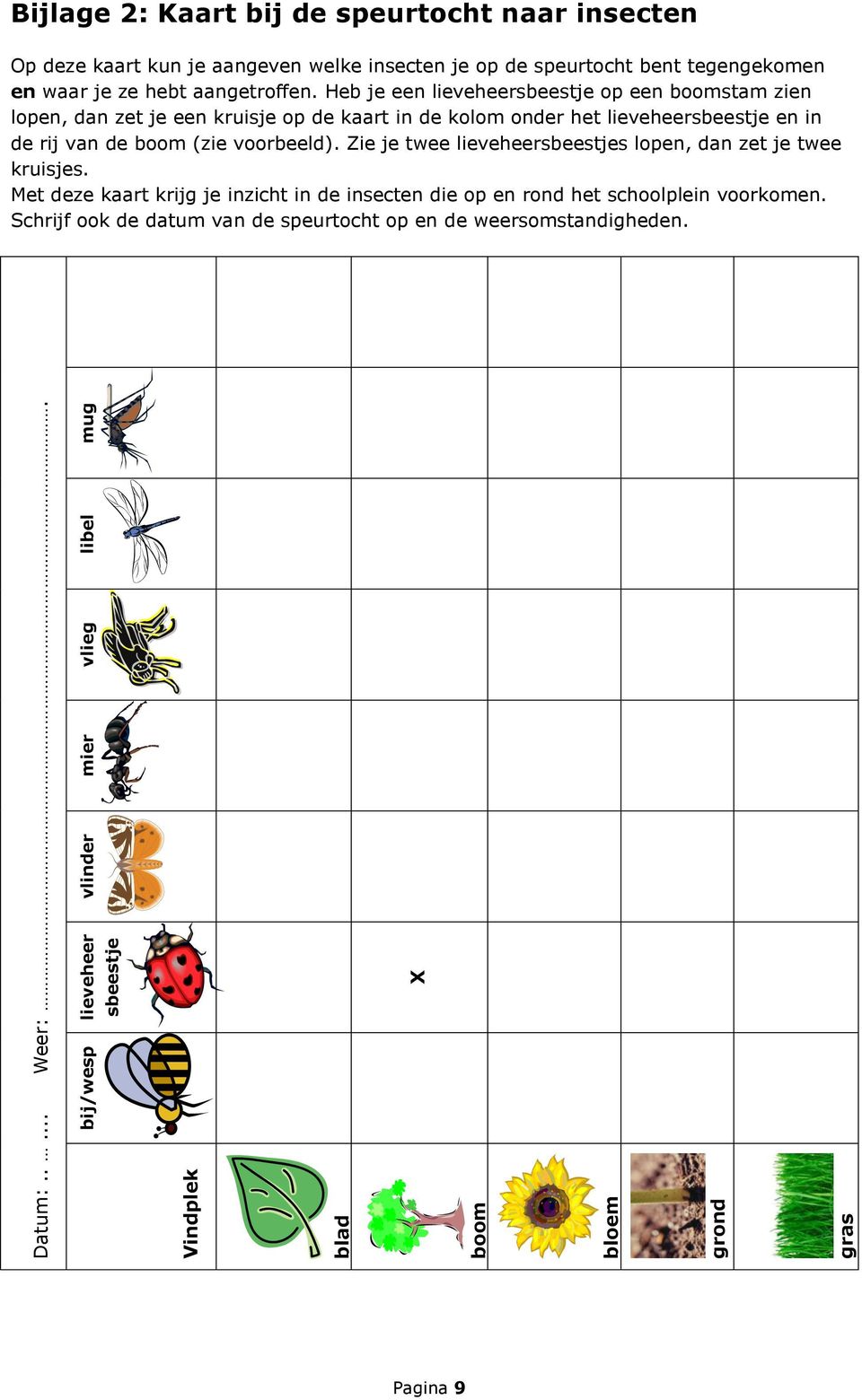 aangeven welke insecten je op de speurtocht bent tegengekomen en waar je ze hebt aangetroffen.