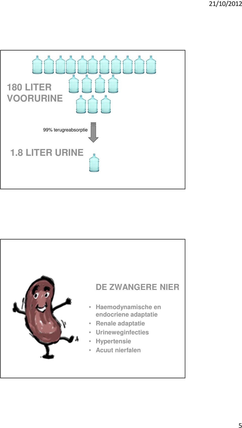 Haemodynamische en endocriene adaptatie