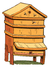 4 Woordenschat In de leskist Bezige bijen worden begrippen als bekend verondersteld, die mogelijk niet bij alle leerlingen ook daadwerkelijk bekend zijn.