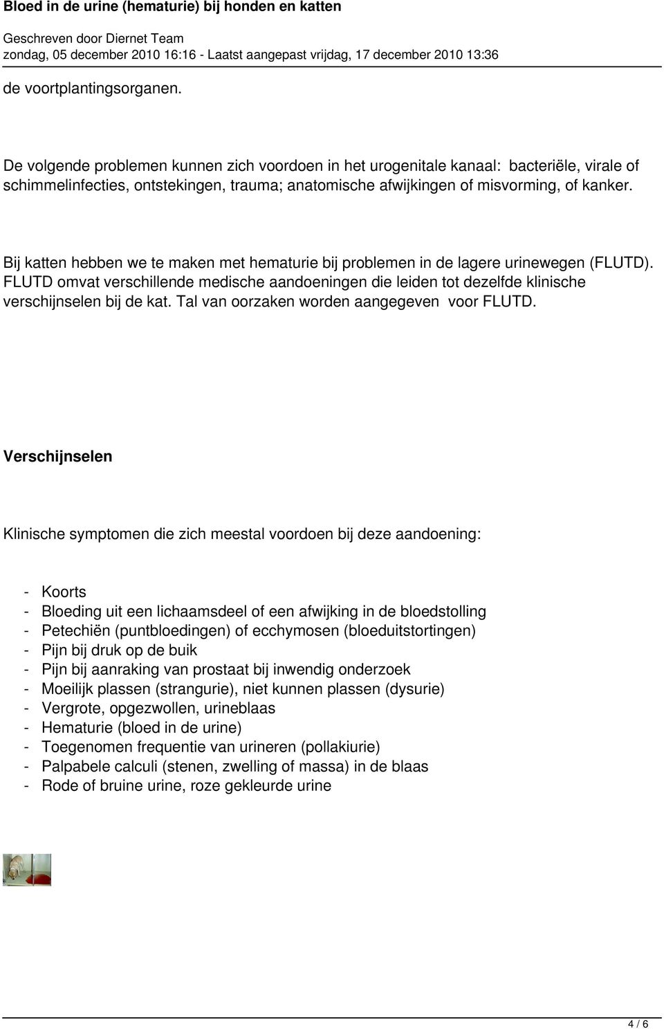 Bij katten hebben we te maken met hematurie bij problemen in de lagere urinewegen (FLUTD). FLUTD omvat verschillende medische aandoeningen die leiden tot dezelfde klinische verschijnselen bij de kat.