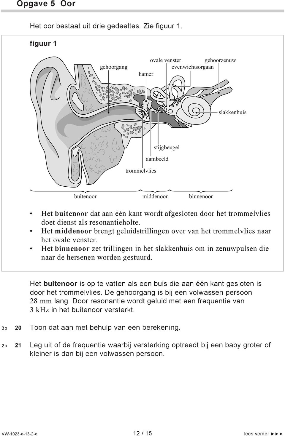 het trommelvlies doet dienst als resonantieholte. Het middenoor brengt geluidstrillingen over van het trommelvlies naar het ovale venster.