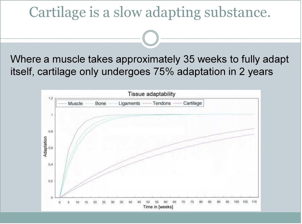 weeks to fully adapt itself, cartilage