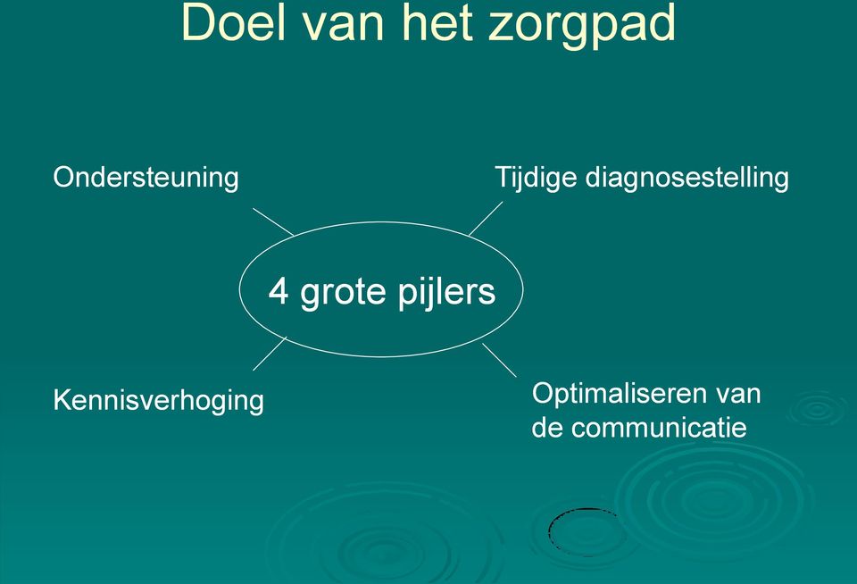 diagnosestelling 4 grote