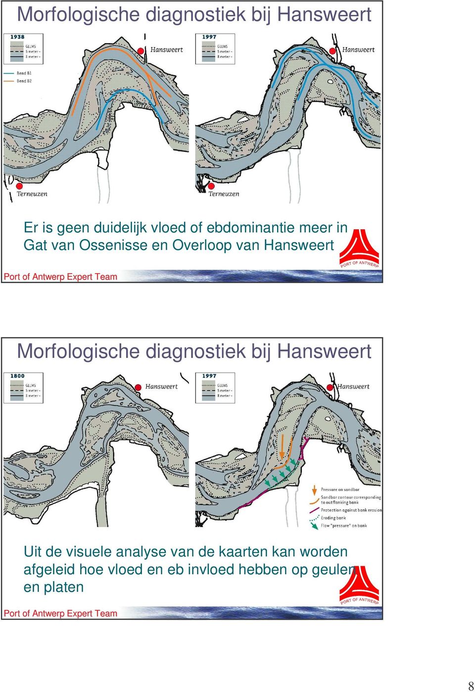 Morfologische diagnostiek bij Hansweert Uit de visuele analyse van de