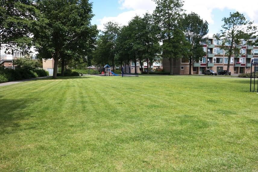 Resultaten gemeente Amstelveen Bij het speelveld en de speeltuin zijn de volgende maatregelen toegepast: In Amstelveen was de snoeproute relatief schoon, maar concentreerde het zwerfafval zich