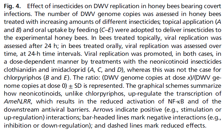 het effect van pesticiden onder