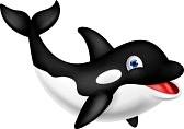 Worden haai: Degeeter Lisa El Khayali Jawad Worden orka: Gommers Daniel Gaan naar de pre-competitie Azevedo Guerrieri Bernardo Flink gewerkt en doe zo verder!