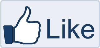 VVVS ON FACEBOOK Like it or not like it. De keuze is volledig aan uzelf.