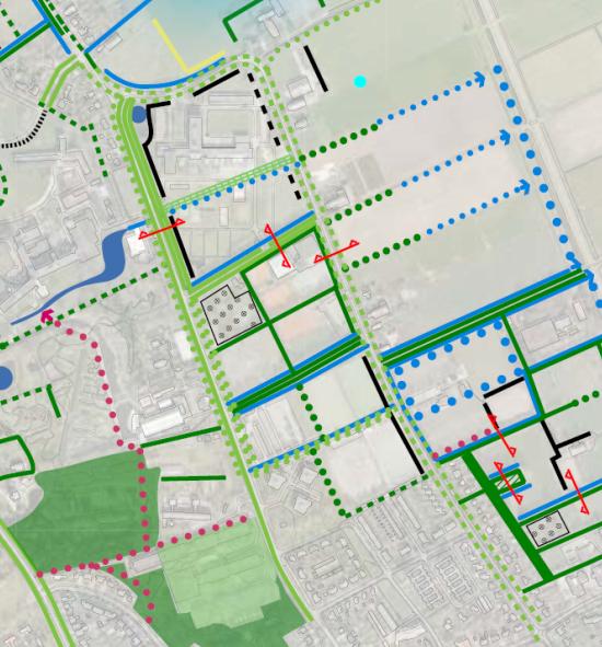 Uitgangspunten Groenstructuurplan Haren Noord In het kader van het opstellen van het groenstructuurplan is het groen geïnventariseerd, waarbij een waardering voor de landschappelijke en ecologische