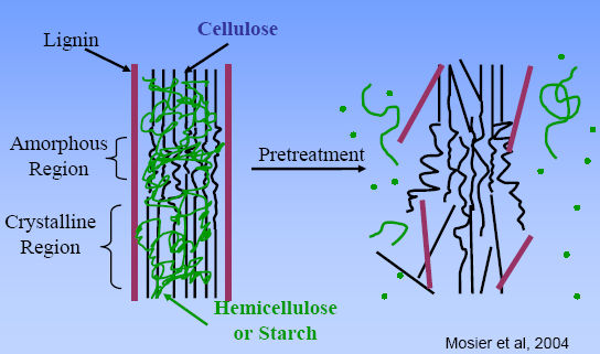 Voorbehandeling van lignocellulose houdende biomassa Source: Michael R.