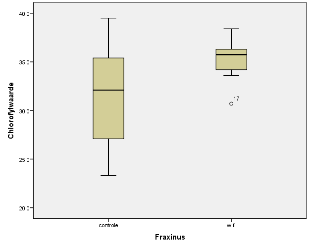 Figuur 14. Box-plot diagram van chlorofylwaarde van Fraxinusbladeren, 3 oktober 2012. In figuur 14 is te zien dat de mediaan van de wifigroep hoger ligt dan die van de controlegroep.