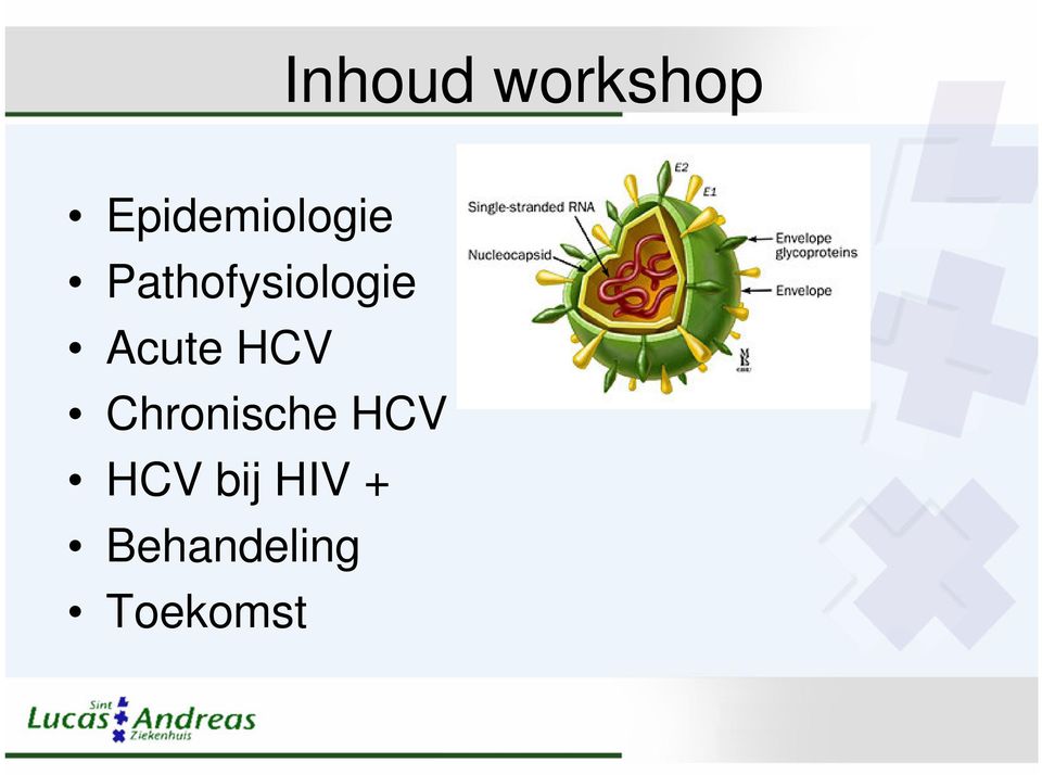 Pathofysiologie Acute HCV