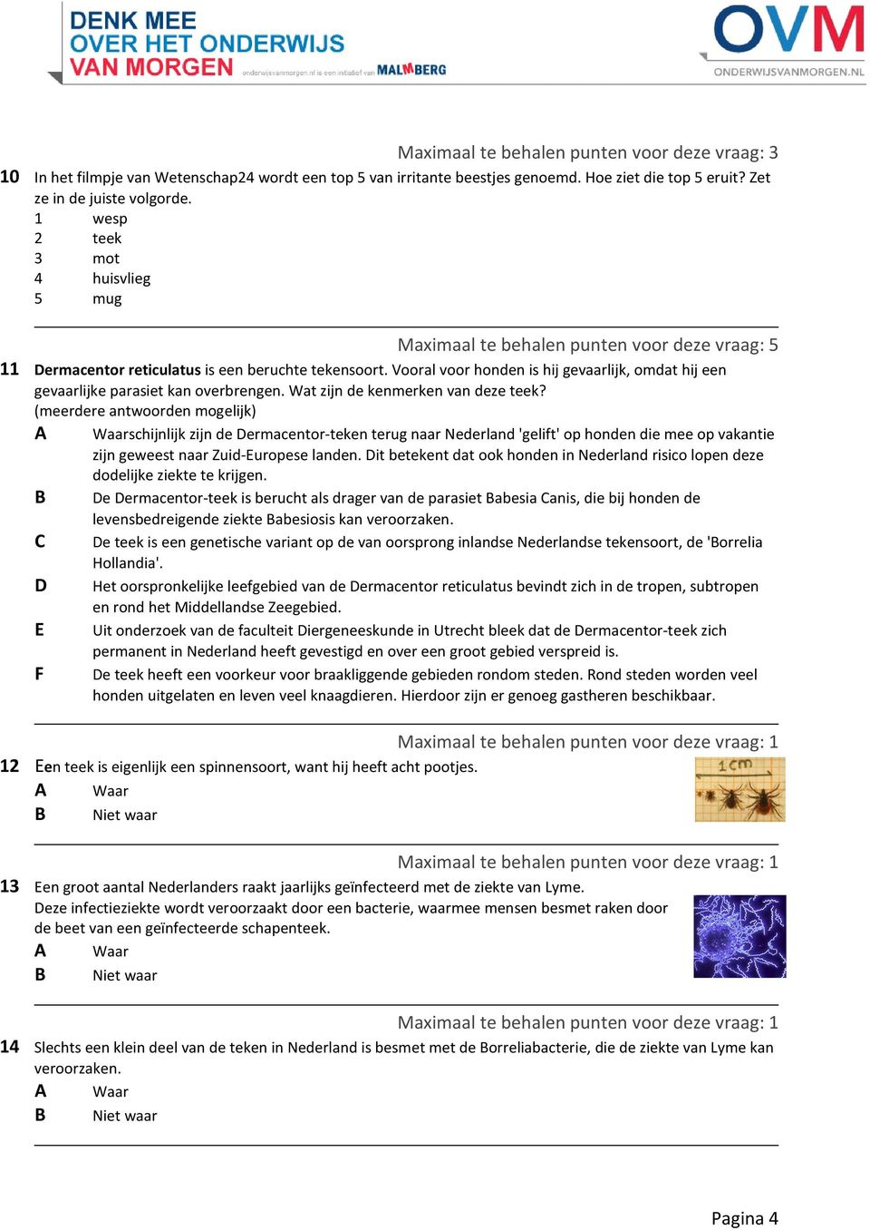 Vooral voor honden is hij gevaarlijk, omdat hij een gevaarlijke parasiet kan overbrengen. Wat zijn de kenmerken van deze teek?