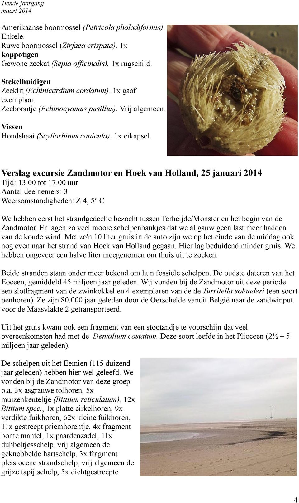 Verslag excursie Zandmotor en Hoek van Holland, 25 januari 2014 Tijd: 13.00 tot 17.