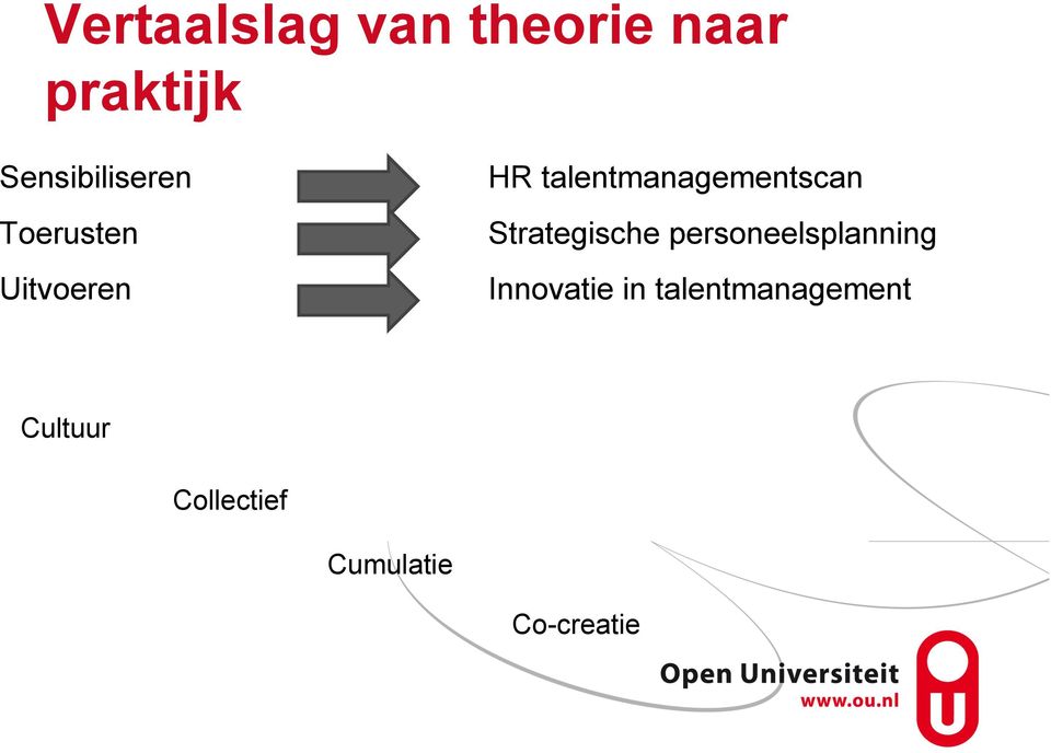 Strategische personeelsplanning Uitvoeren