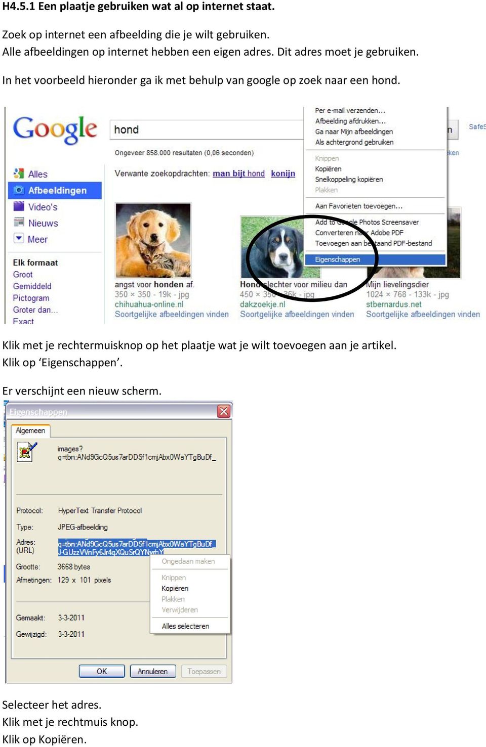 In het voorbeeld hieronder ga ik met behulp van google op zoek naar een hond.