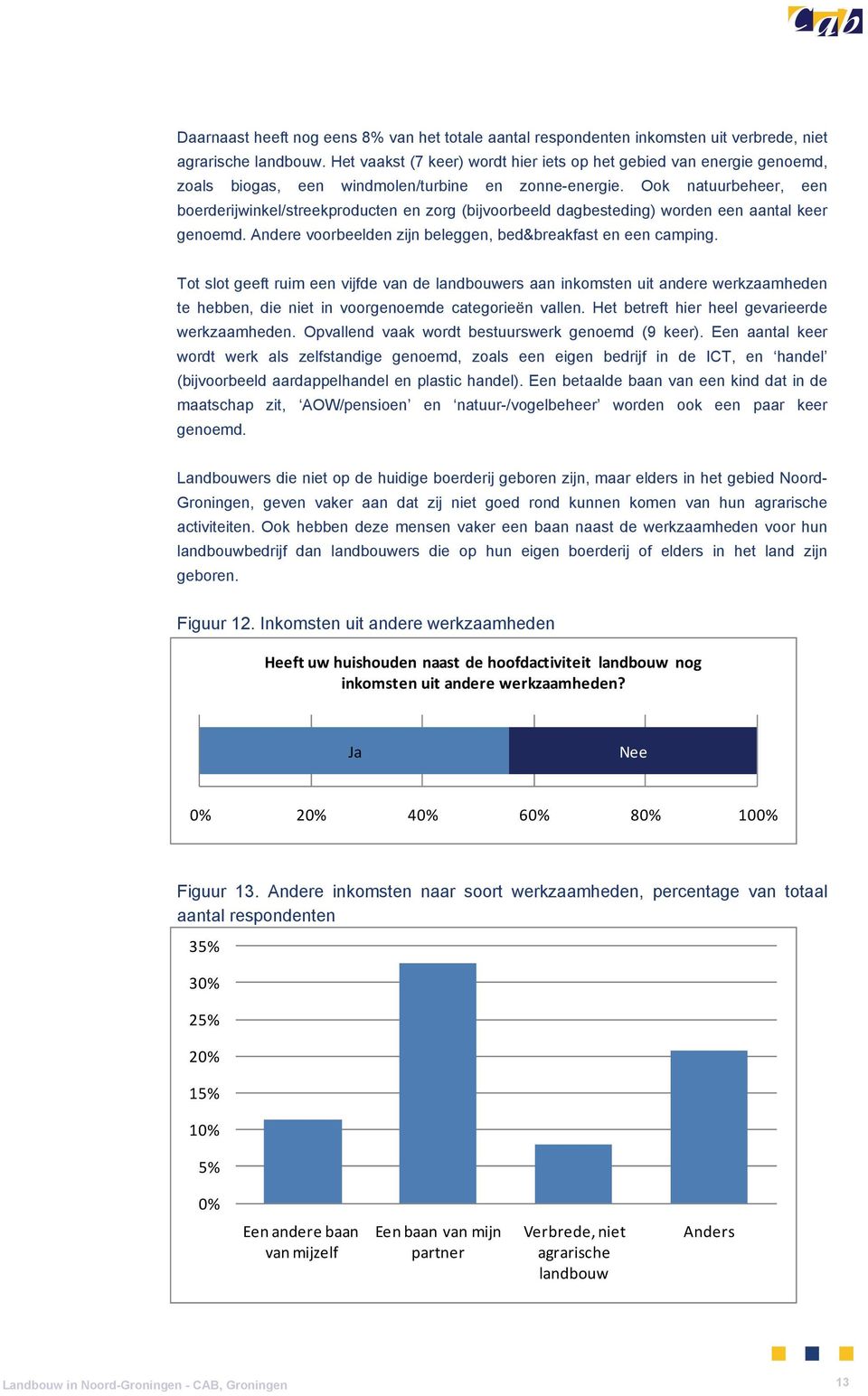 Ook natuurbeheer, een boerderijwinkel/streekproducten en zorg (bijvoorbeeld dagbesteding) worden een aantal keer genoemd. Andere voorbeelden zijn beleggen, bed&breakfast en een camping.