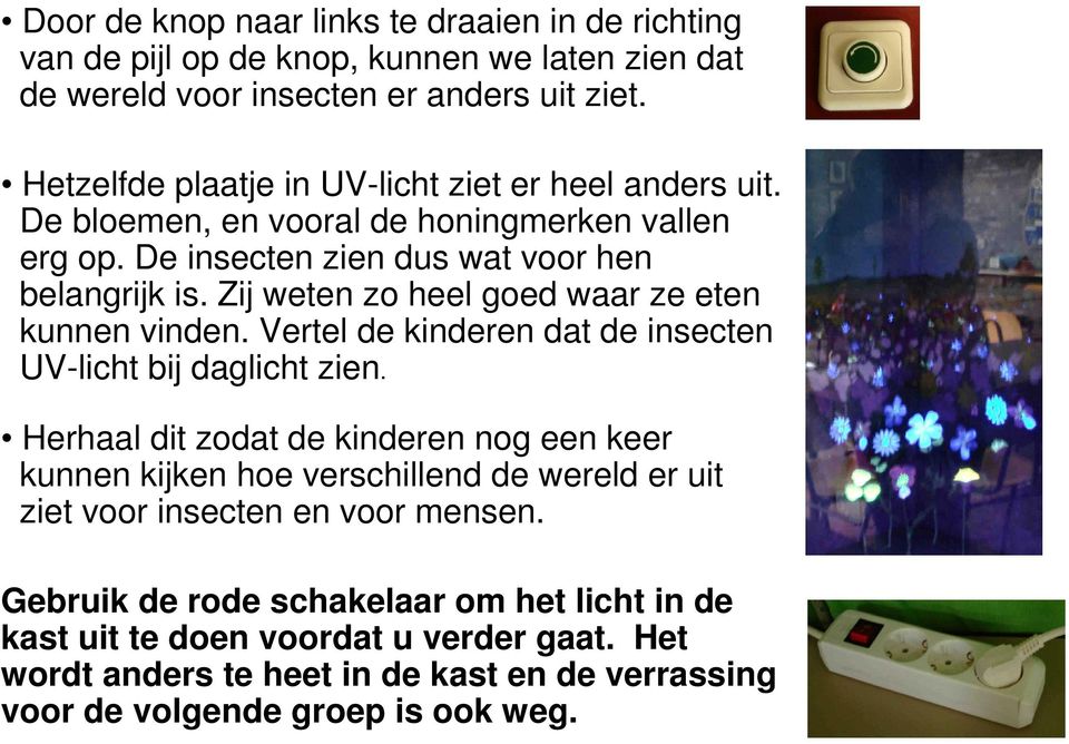 Zij weten zo heel goed waar ze eten kunnen vinden. Vertel de kinderen dat de insecten UV-licht bij daglicht zien.