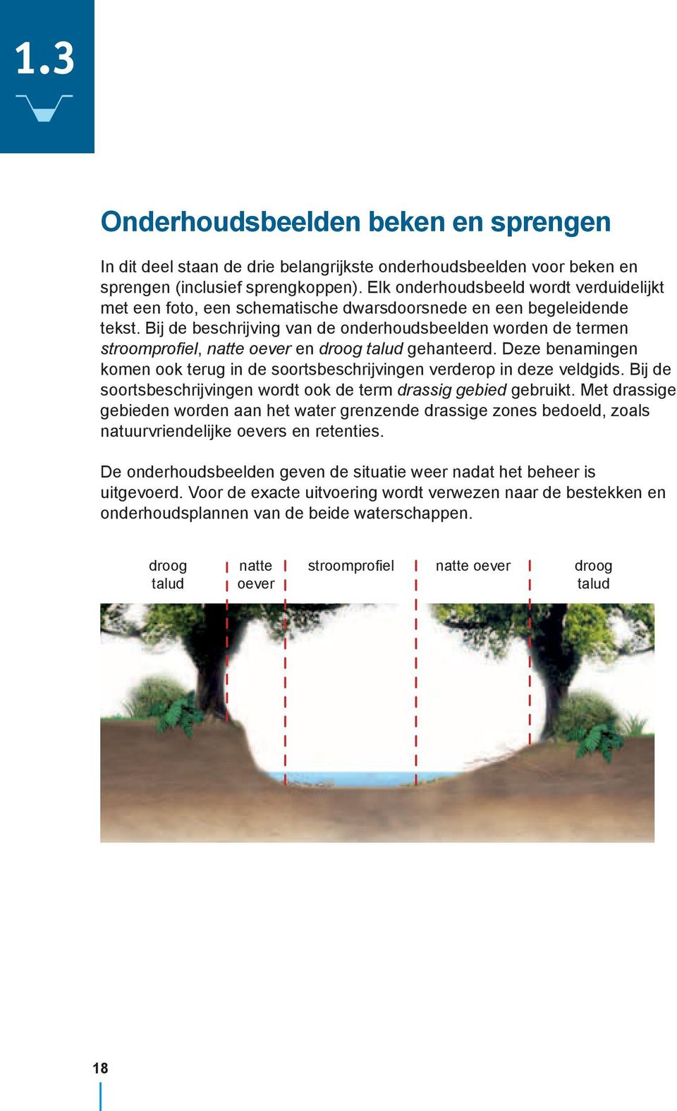 Bij de beschrijving van de onderhoudsbeelden worden de termen stroomprofiel, natte oever en droog talud gehanteerd.