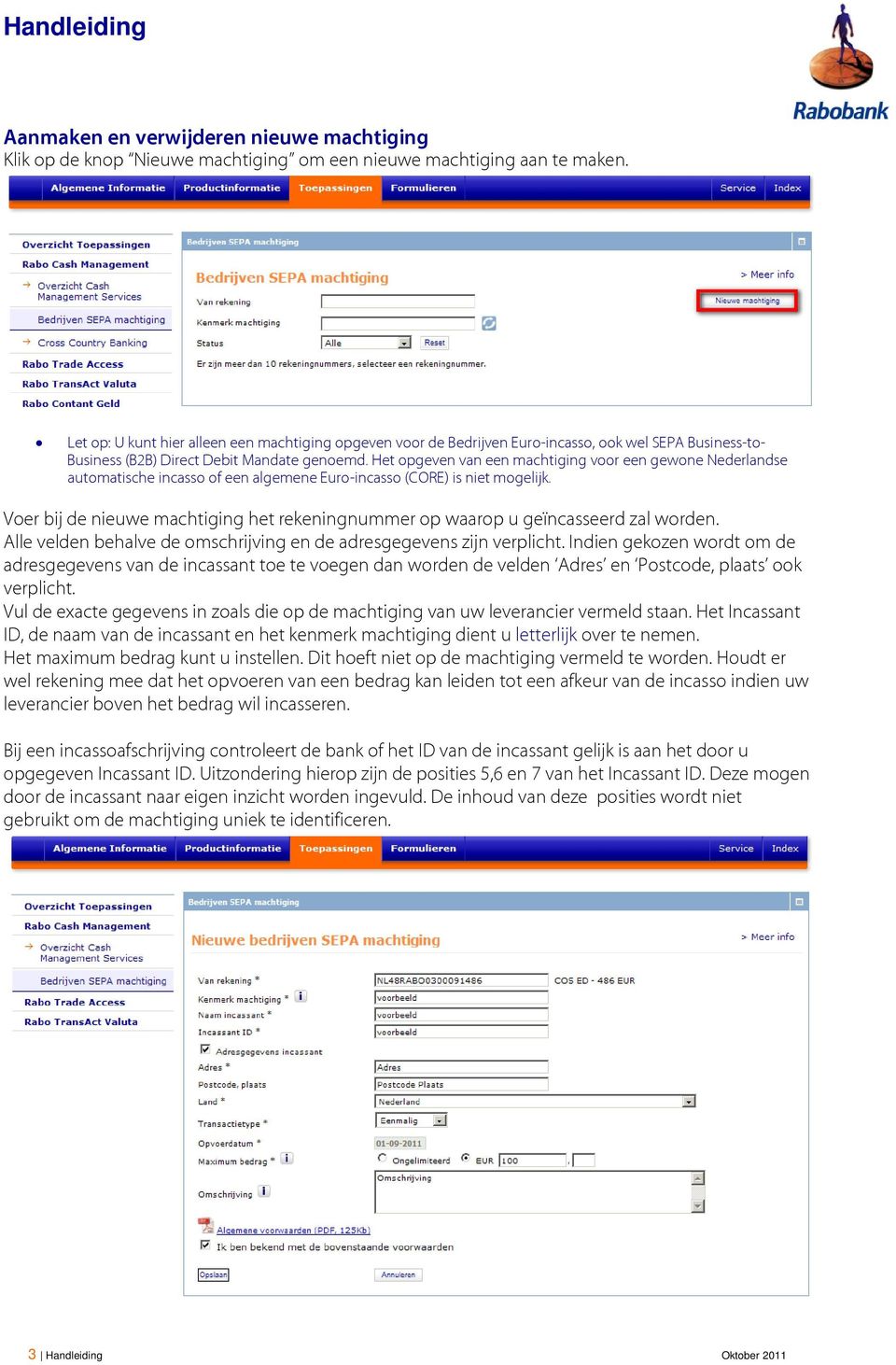 Het opgeven van een machtiging voor een gewone Nederlandse automatische incasso of een algemene Euro-incasso (CORE) is niet mogelijk.