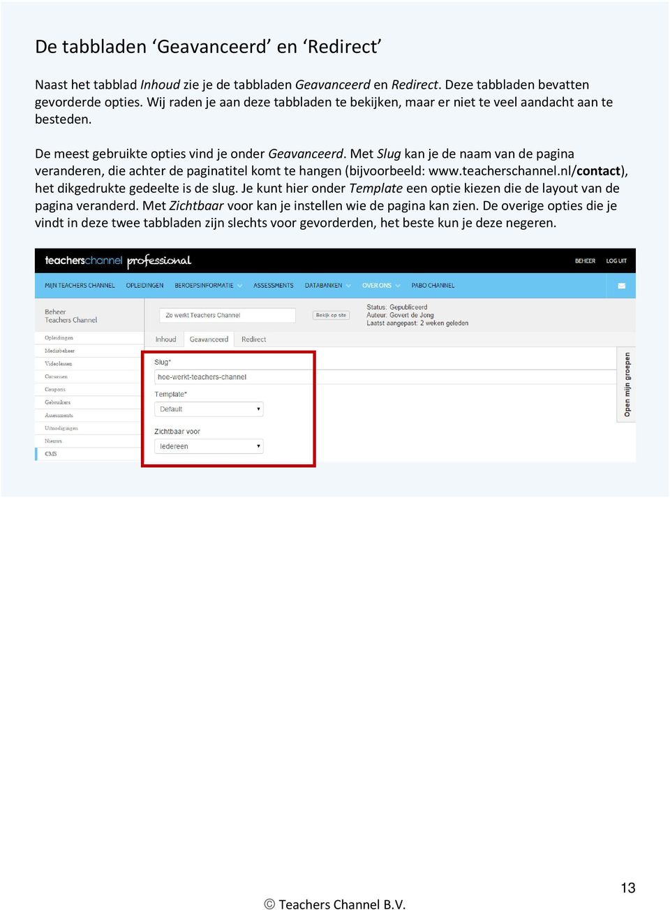 Met Slug kan je de naam van de pagina veranderen, die achter de paginatitel komt te hangen (bijvoorbeeld: www.teacherschannel.nl/contact), het dikgedrukte gedeelte is de slug.