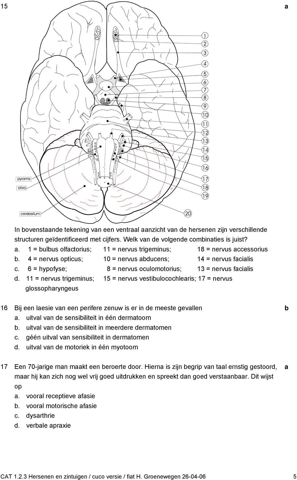 11 = nervus trigeminus; 15 = nervus vestiuloohleris; 17 = nervus glossophryngeus 16 Bij een lesie vn een perifere zenuw is er in e meeste gevllen. uitvl vn e sensiiliteit in één ermtoom.