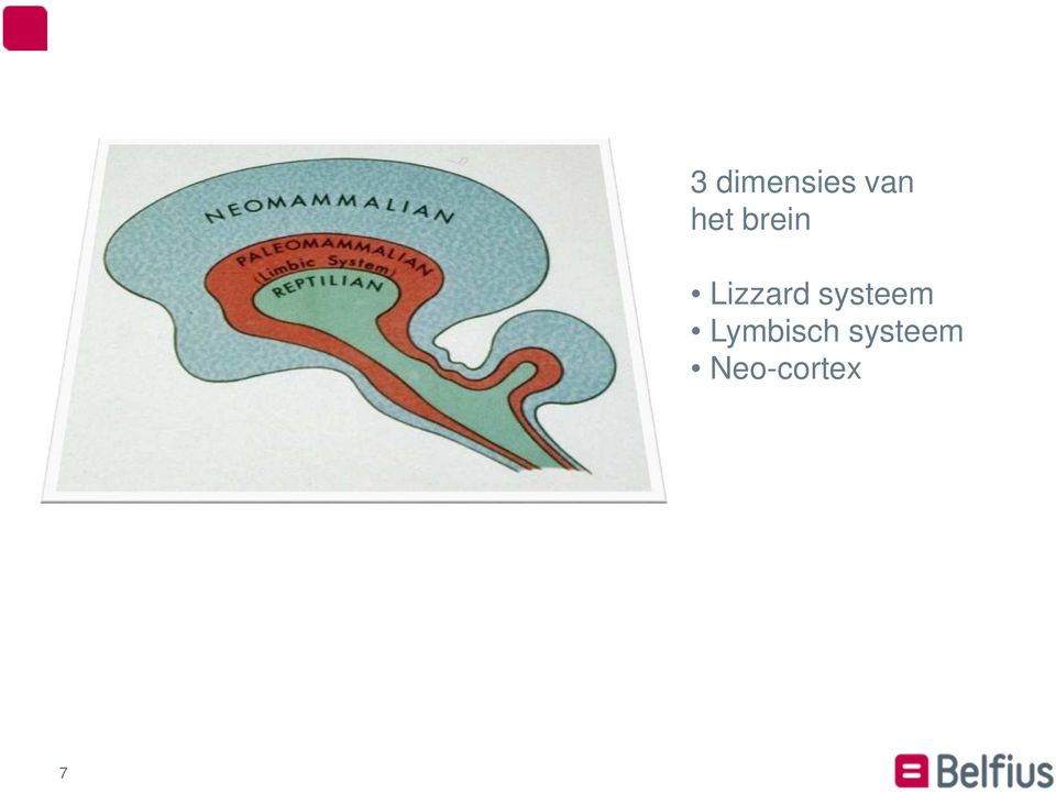 systeem Lymbisch