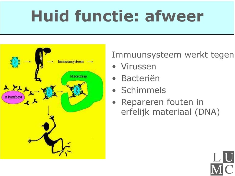 Virussen Bacteriën Schimmels