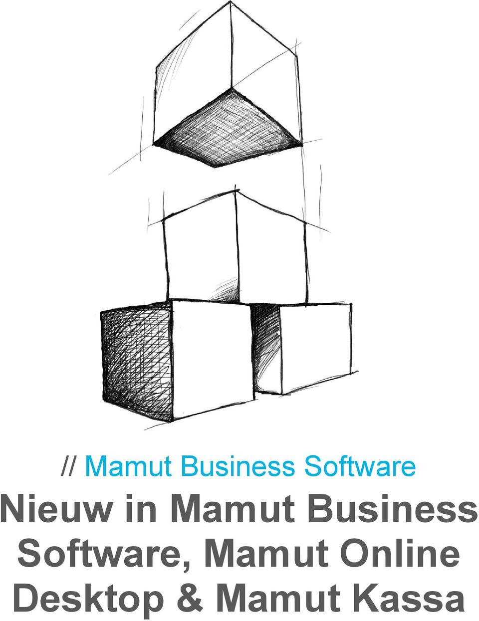 Business Software,