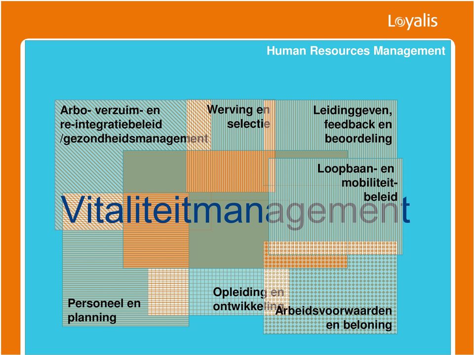 Leidinggeven, feedback en beoordeling Loopbaan- en mobiliteitbeleid