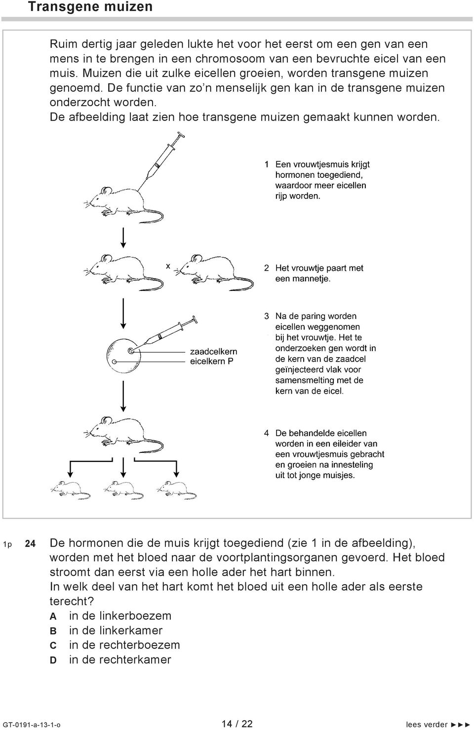 De afbeelding laat zien hoe transgene muizen gemaakt kunnen worden. 1 Een vrouwtjesmuis krijgt hormonen toegediend, waardoor meer eicellen rijp worden. 2 Het vrouwtje paart met een mannetje.