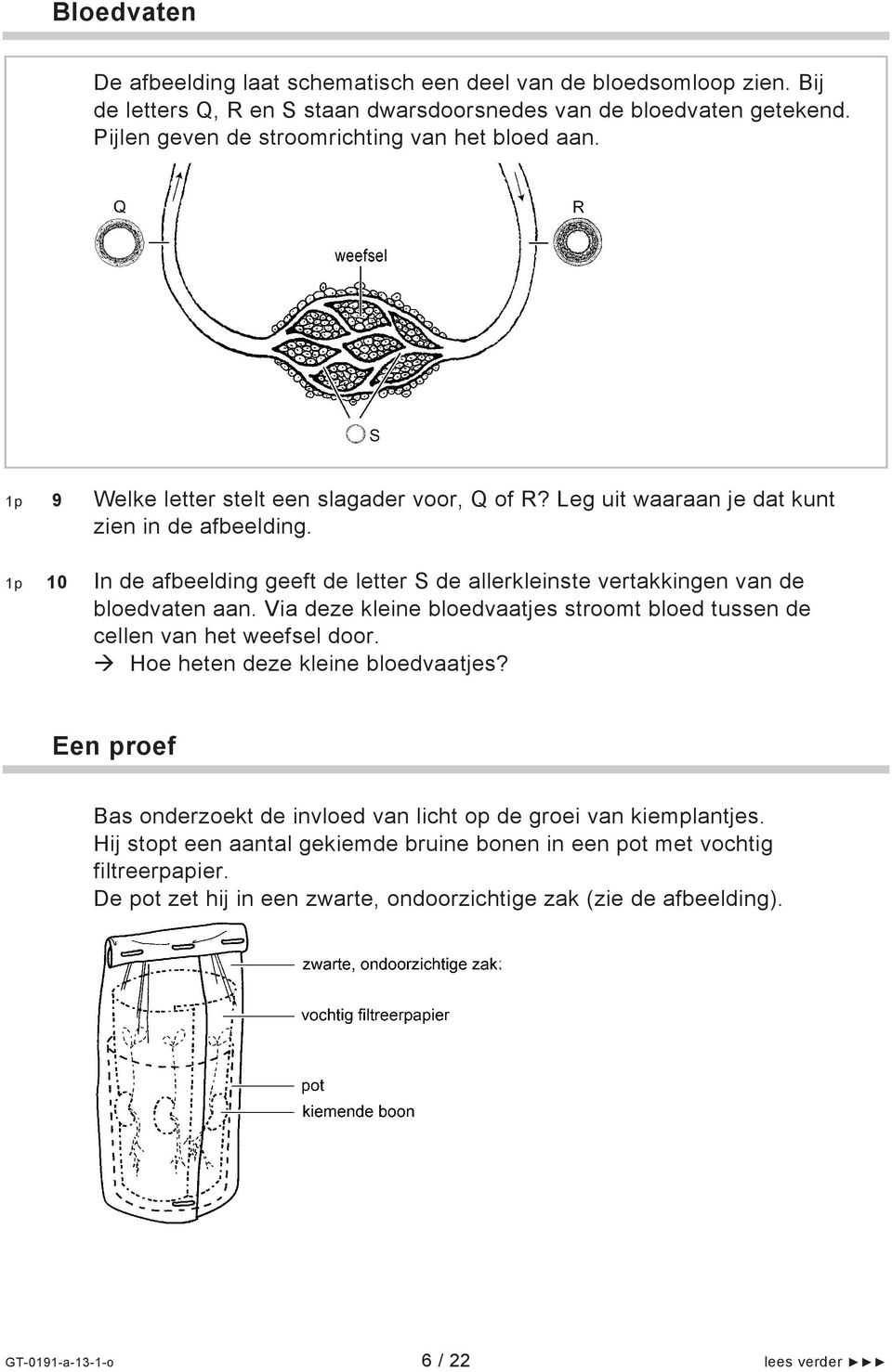 1p 10 In de afbeelding geeft de letter S de allerkleinste vertakkingen van de bloedvaten aan. Via deze kleine bloedvaatjes stroomt bloed tussen de cellen van het weefsel door.