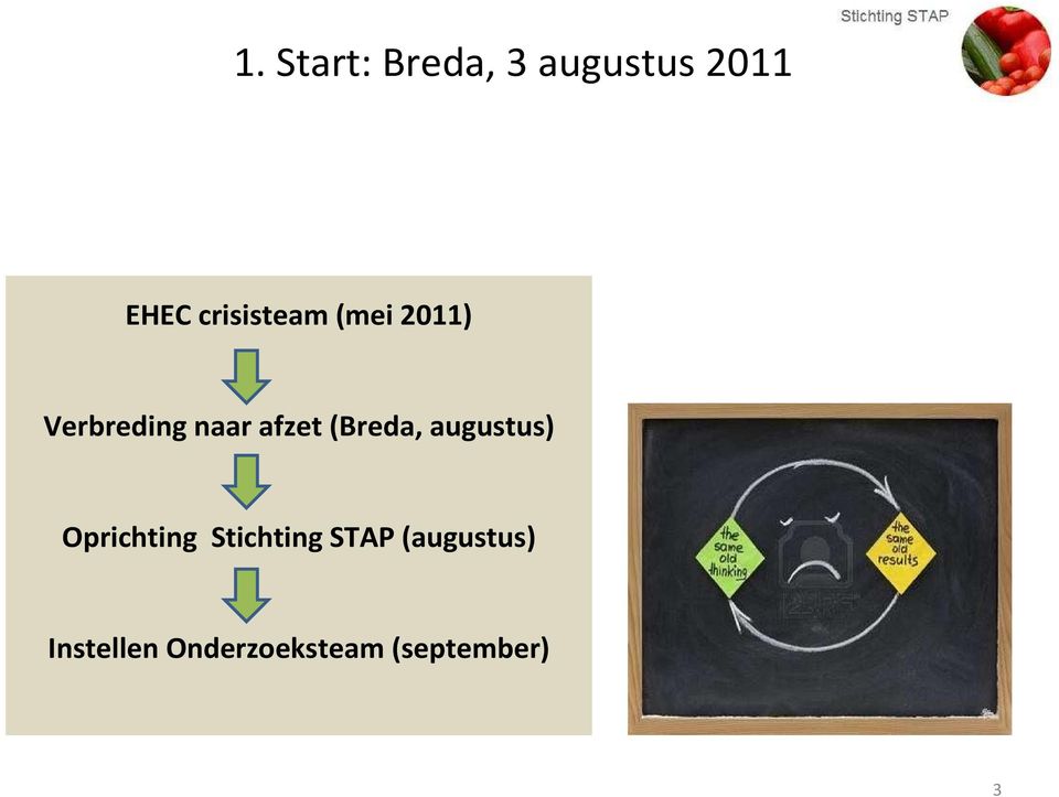 (Breda, augustus) Oprichting Stichting STAP
