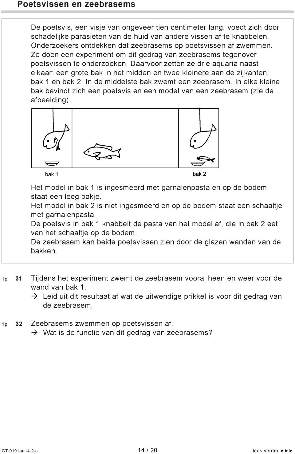 Daarvoor zetten ze drie aquaria naast elkaar: een grote bak in het midden en twee kleinere aan de zijkanten, bak 1 en bak 2. In de middelste bak zwemt een zeebrasem.