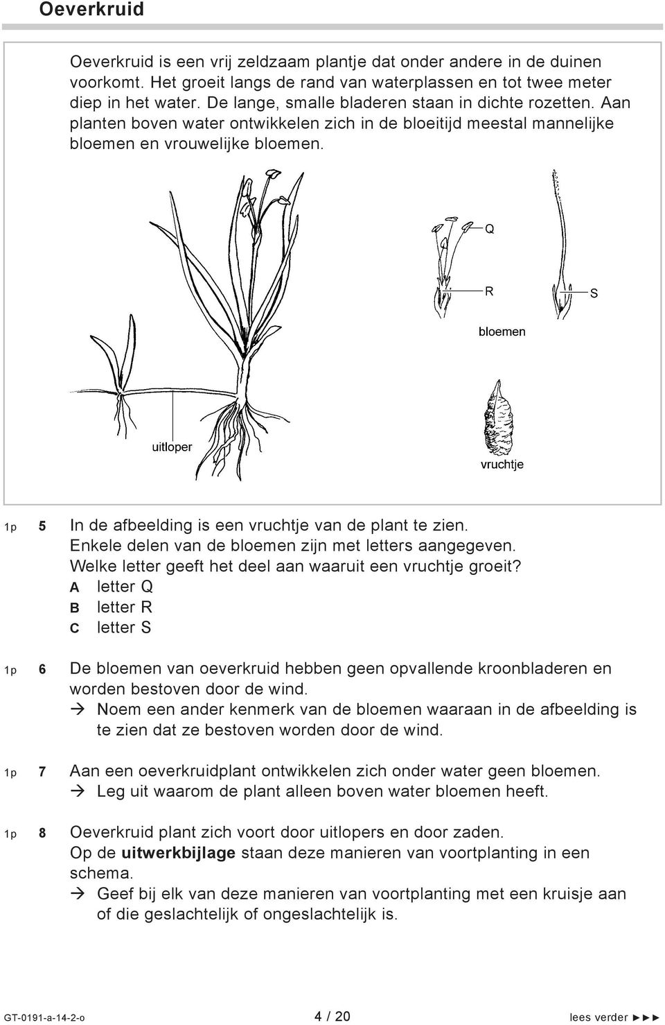 1p 5 In de afbeelding is een vruchtje van de plant te zien. Enkele delen van de bloemen zijn met letters aangegeven. Welke letter geeft het deel aan waaruit een vruchtje groeit?