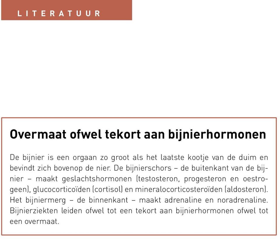 De bijnierschors de buitenkant van de bijnier maakt geslachtshormonen (testosteron, progesteron en oestrogeen),