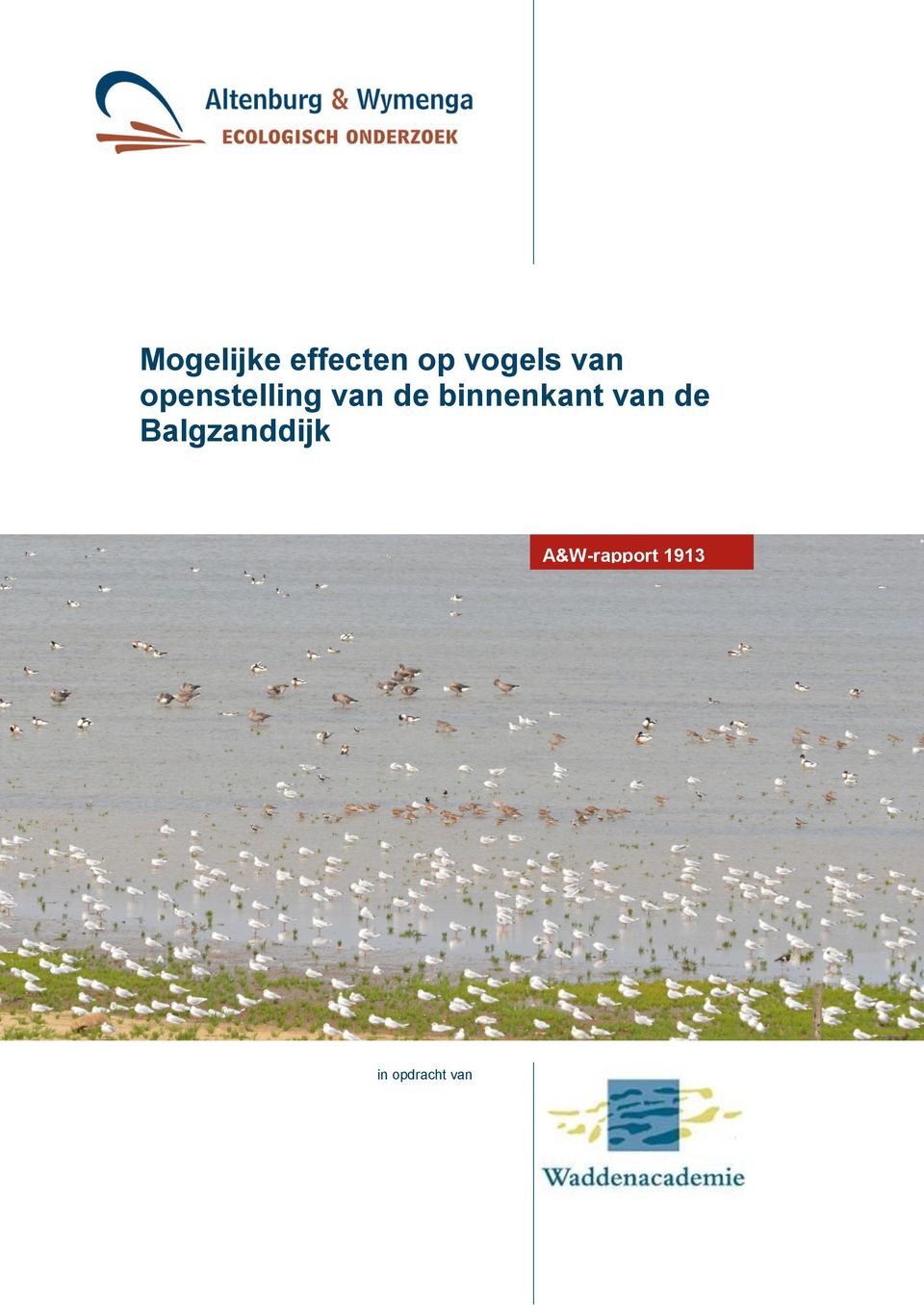 Mogelijke effecten op vogels van openstelling van de binnenkant van de  Balgzanddijk A&W-rapport PDF Gratis download