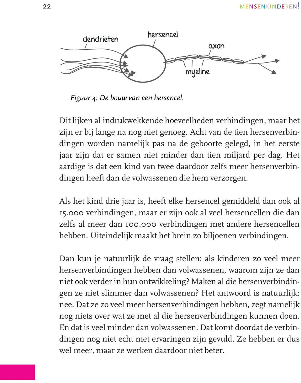 Het aardige is dat een kind van twee daardoor zelfs meer hersenverbindingen heeft dan de volwassenen die hem verzorgen. Als het kind drie jaar is, heeft elke hersencel gemiddeld dan ook al 15.