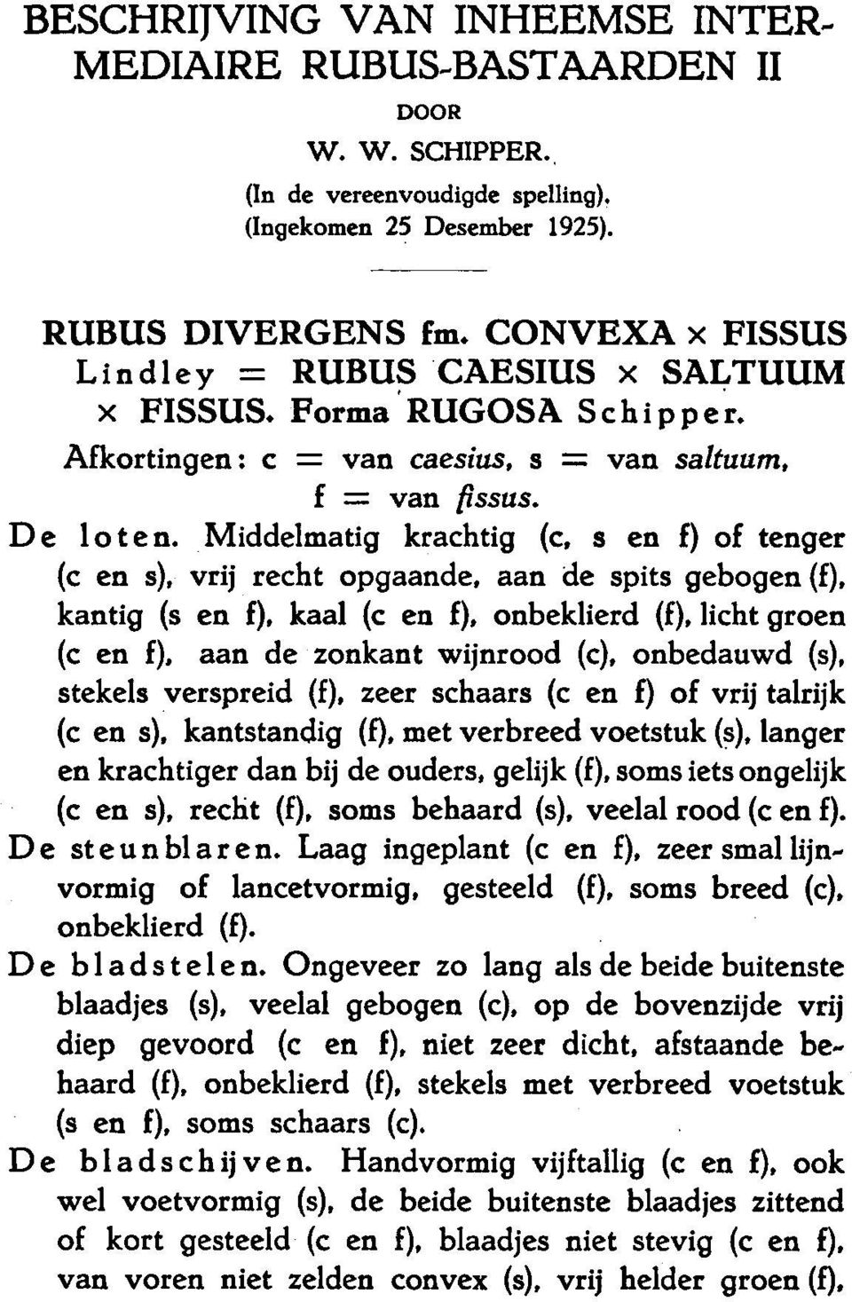 Middelmatig krachtig (c, s en f) of tenger (c en s), vrij recht aan opgaande, de spits gebogen (f), kantig (s en kaal f), (c en f), onbeklierd (f), licht groen (c en f), aan de zonkant wijnrood (c),