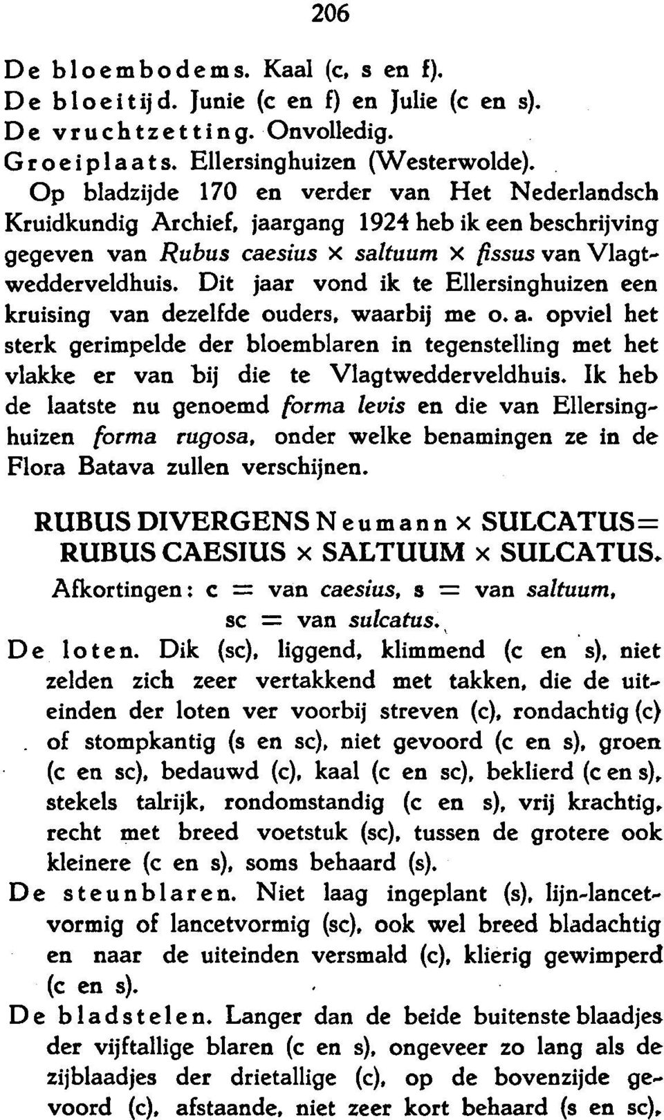 Dit jaar vond ik te Ellersinghuizen een kruising van dezelfde ouders, waarbij me o. a.